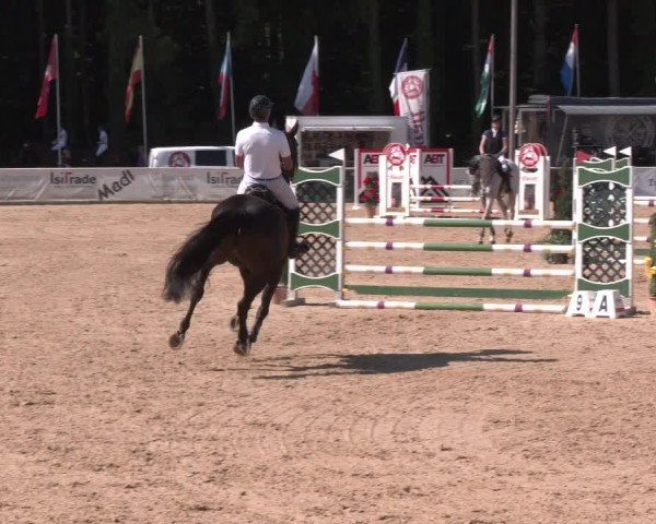 Reitturnier Ranshofen - Braunau am Inn 2025
