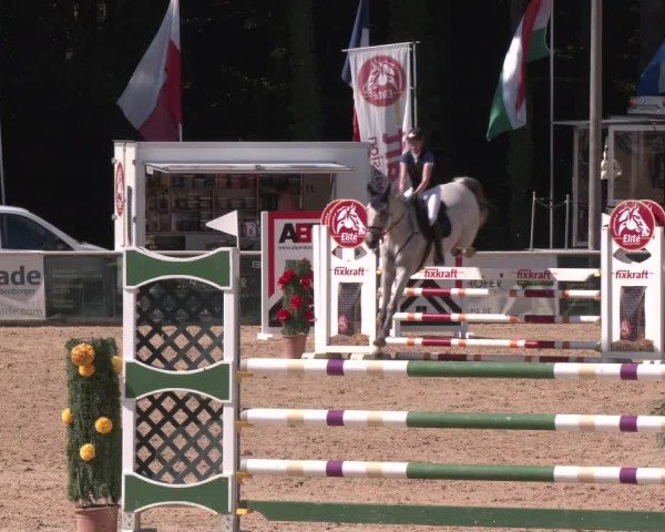 Reitturnier Ranshofen - Braunau am Inn 2025