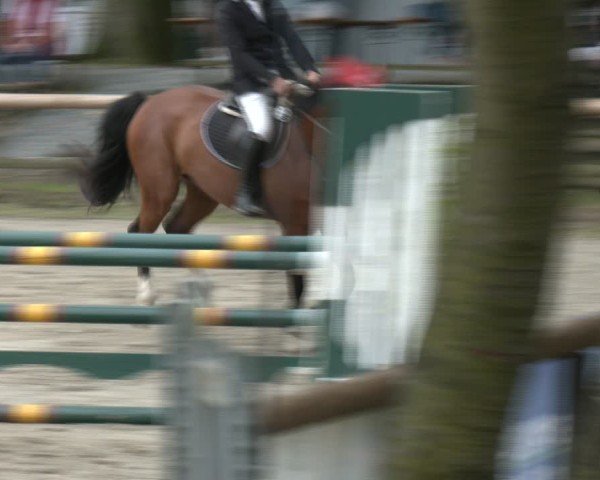 Reitturnier Marienheide-Kempershöhe 2025
