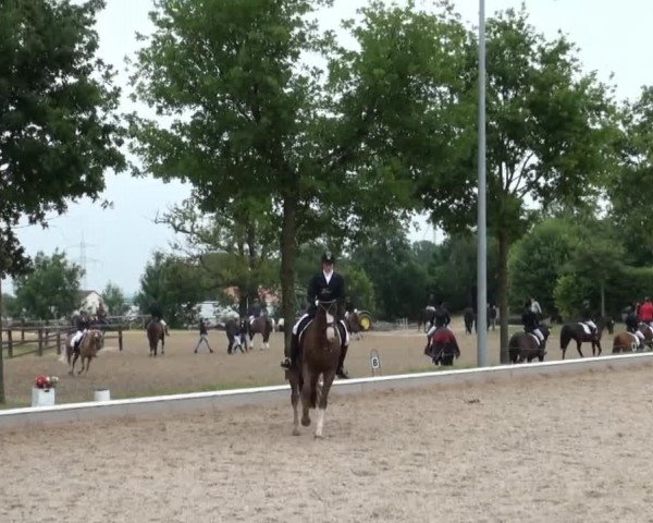 Sommerturnier Fröndenberg 2014
