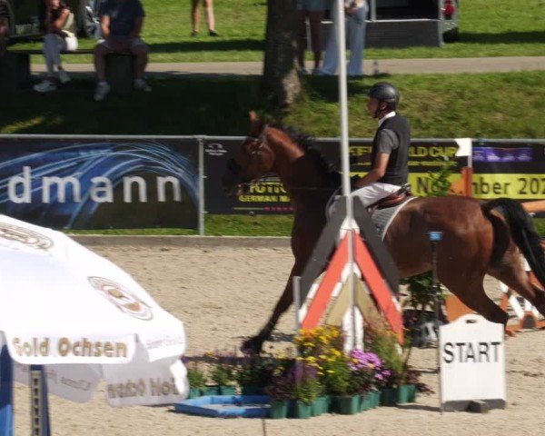 Reitturnier Heuchlingen 2025