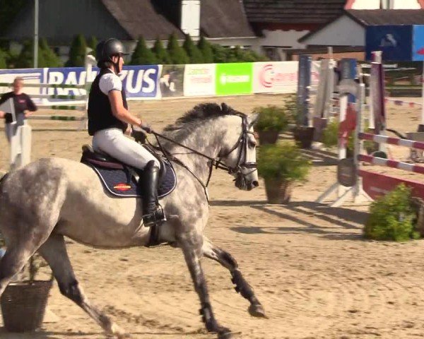 Reitturnier Behrendorf 2025