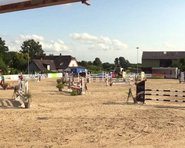 Reitturnier Behrendorf 2025