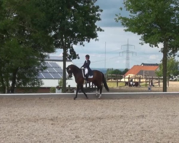 Sommerturnier Fröndenberg 2014