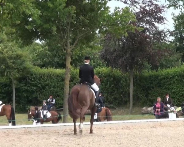 Sommerturnier Fröndenberg 2014