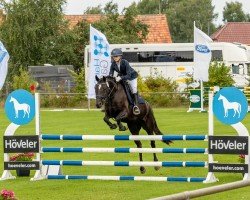 dressage horse Honeymoon's Beauty (German Riding Pony, 2018, from Honeymoon Star)