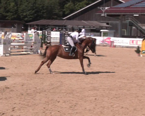 Reitturnier Ranshofen - Braunau am Inn 2025