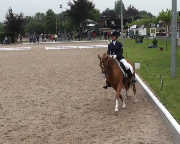 Sommerturnier Fröndenberg 2014