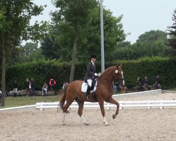 Sommerturnier Fröndenberg 2014