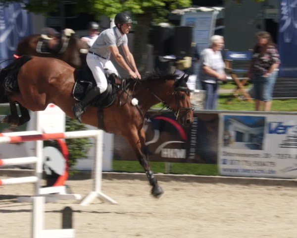 Reitturnier Heuchlingen 2025