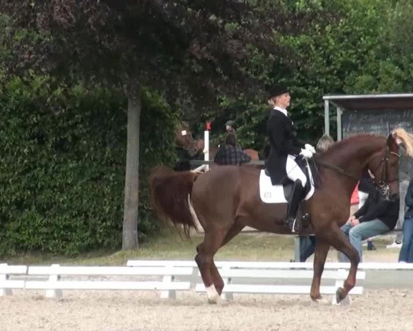 Sommerturnier Fröndenberg 2014