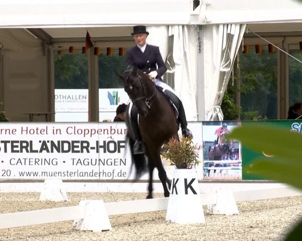 Weser Ems Meisterschaften Cloppenburg 2014