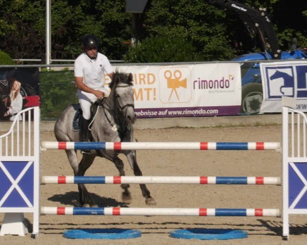 Reitturnier Heuchlingen 2025