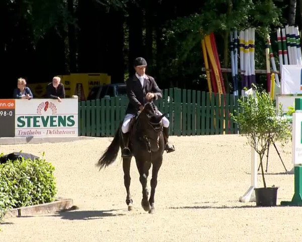 Weser Ems Meisterschaften Cloppenburg 2014
