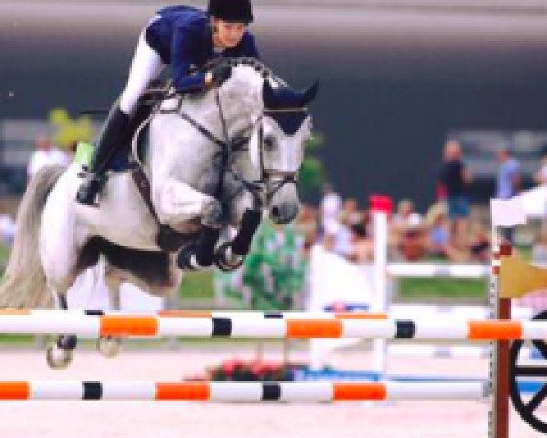 Springpferd Corali (Holsteiner, 2008, von Cormint)