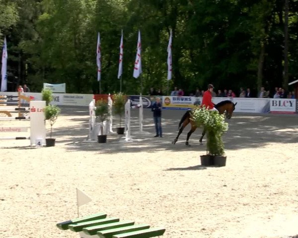 Weser Ems Meisterschaften Cloppenburg 2014