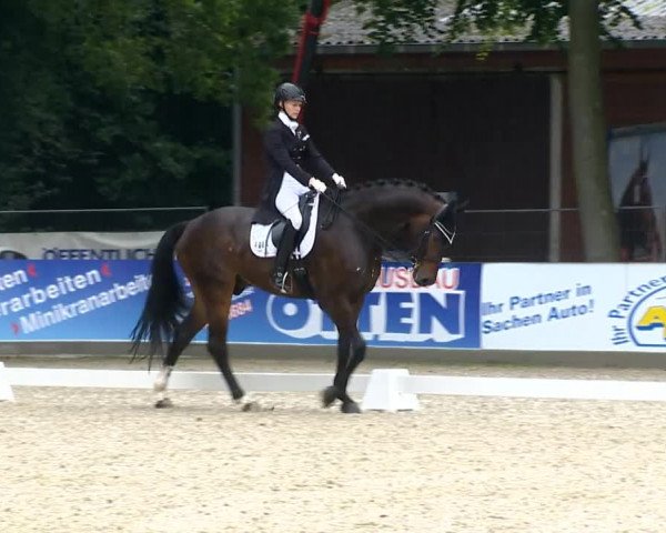 Weser Ems Meisterschaften Cloppenburg 2014