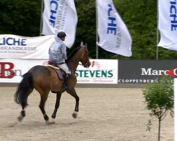 Weser Ems Meisterschaften Cloppenburg 2014
