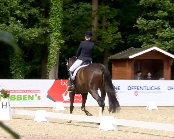 Weser Ems Meisterschaften Cloppenburg 2014