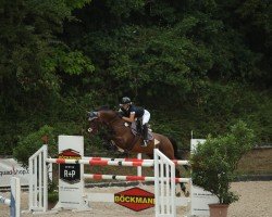 jumper Monteverdi H (KWPN (Royal Dutch Sporthorse), 2017, from Heathrow)