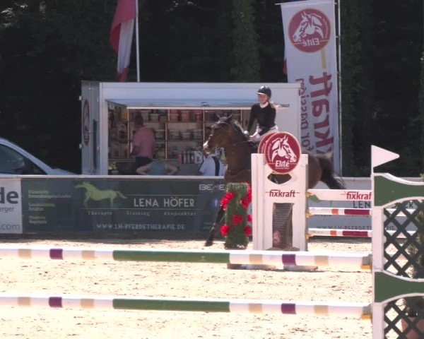 Reitturnier Ranshofen - Braunau am Inn 2025