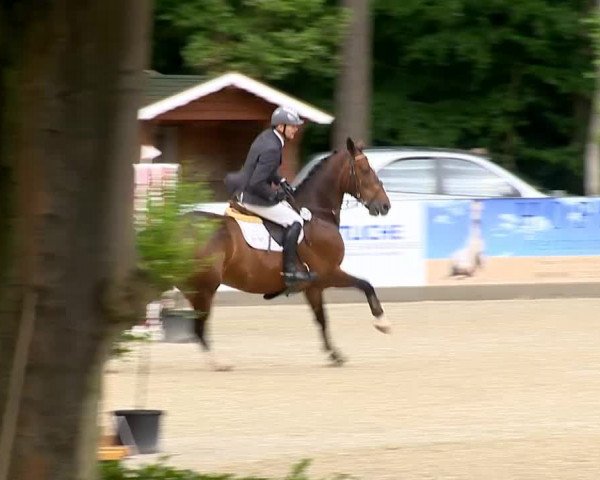 Weser Ems Meisterschaften Cloppenburg 2014