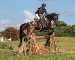 broodmare Dukes Night Out (Oldenburg, 2013, from Duke of Hearts xx)