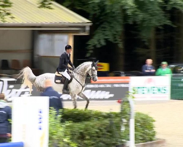 Weser Ems Meisterschaften Cloppenburg 2014