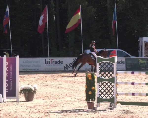 Reitturnier Ranshofen - Braunau am Inn 2025