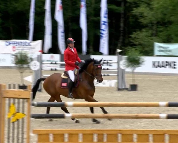 Weser Ems Meisterschaften Cloppenburg 2014