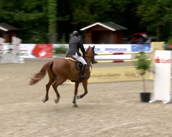 Weser Ems Meisterschaften Cloppenburg 2014