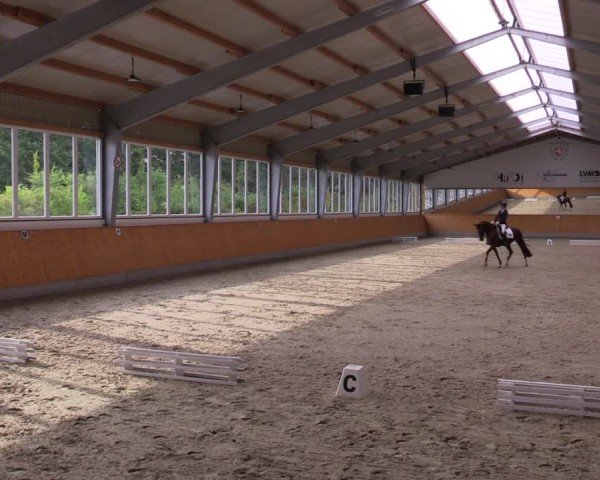 Reitturnier Münster-Amelsbüren 2025