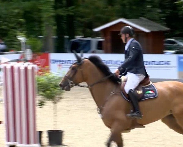 Weser Ems Meisterschaften Cloppenburg 2014