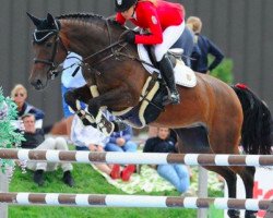 jumper Kaland (Hungarian Warmblood, 2003, from Graf Werther)