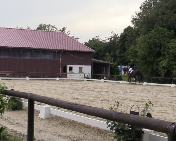 Reitturnier Marienheide-Kempershöhe 2025