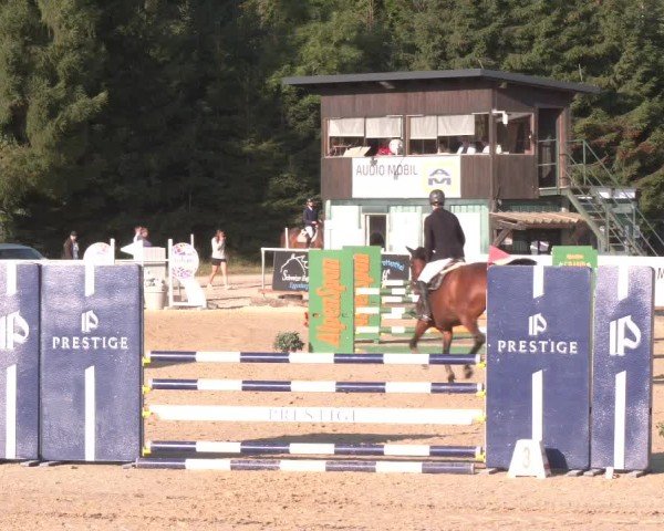 Reitturnier Ranshofen - Braunau am Inn 2025