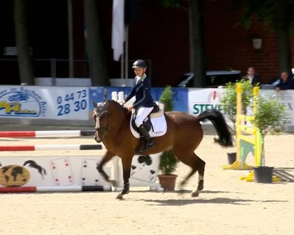 Weser Ems Meisterschaften Cloppenburg 2014