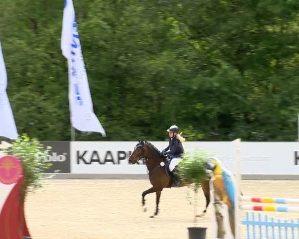 Weser Ems Meisterschaften Cloppenburg 2014