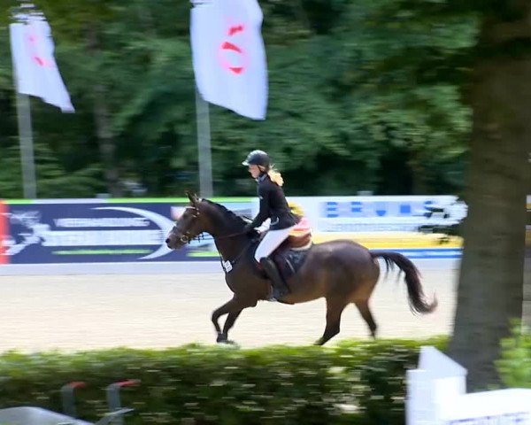 Weser Ems Meisterschaften Cloppenburg 2014