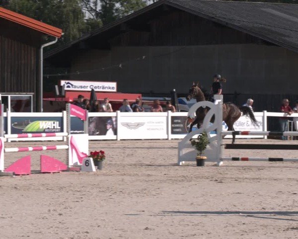 Reitturnier Memmingen 2025