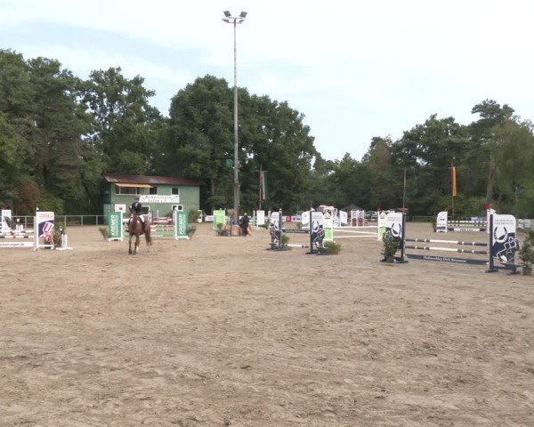 Reitturnier Velen 2025