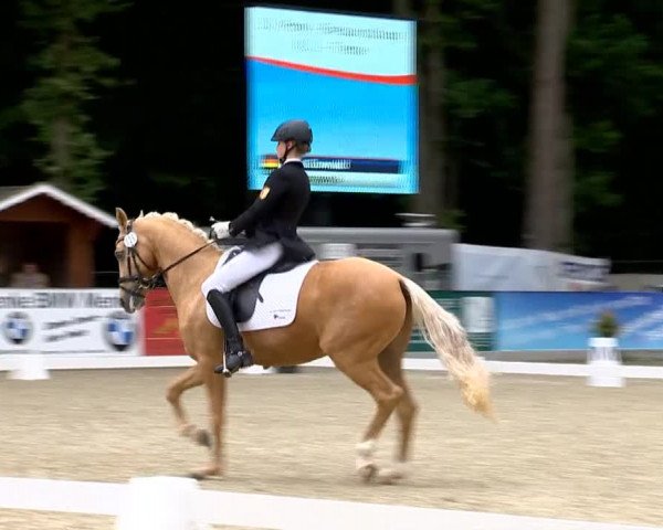 Weser Ems Meisterschaften Cloppenburg 2014