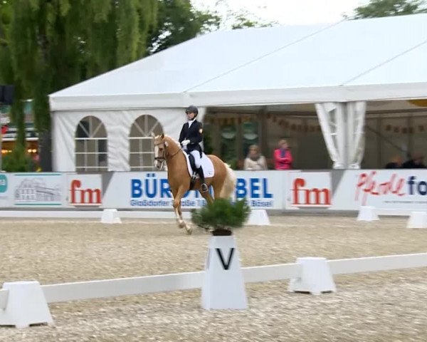 Weser Ems Meisterschaften Cloppenburg 2014