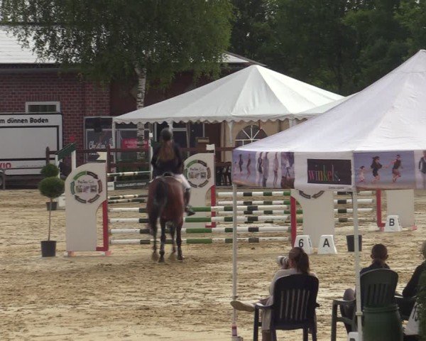 Reitturnier Seppenrade 2025