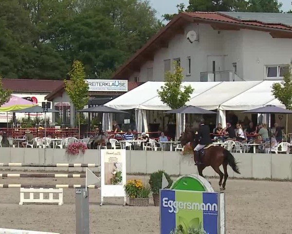 Reitturnier Grafenrheinfeld/Ufr. 2025