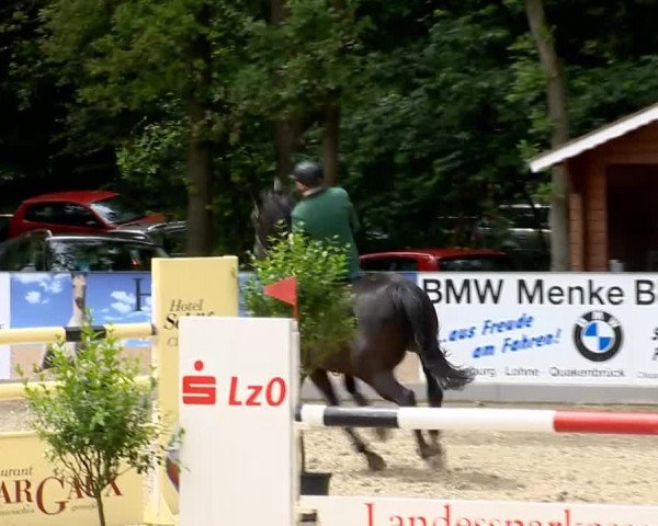 Weser Ems Meisterschaften Cloppenburg 2014