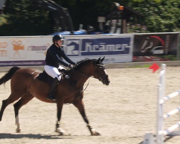Reitturnier Heuchlingen 2025