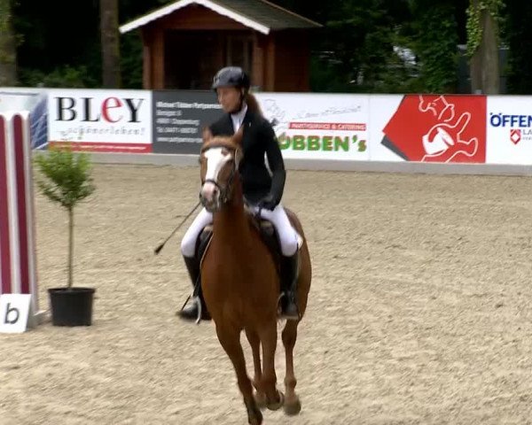 Weser Ems Meisterschaften Cloppenburg 2014