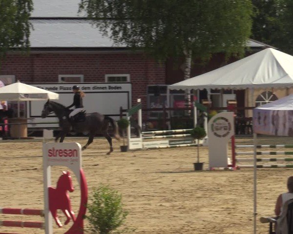 Reitturnier Seppenrade 2025