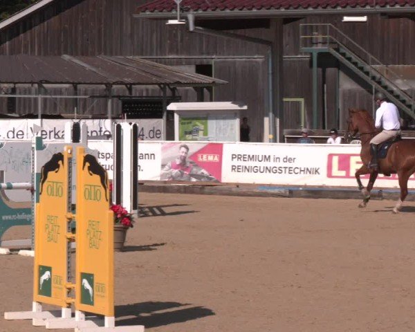 Reitturnier Ranshofen - Braunau am Inn 2025